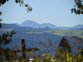 Alex Bergblick Scheidegg